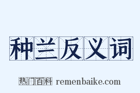 种兰反义词是什么意思的图片